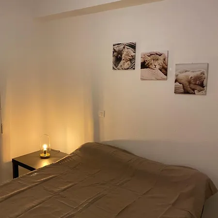 Cosy - Centre Albi